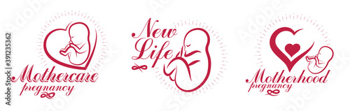 Pregnancy and motherhood theme vector illustrations set fetus drawings isolated on white background, new life baby shower beautiful baby.
