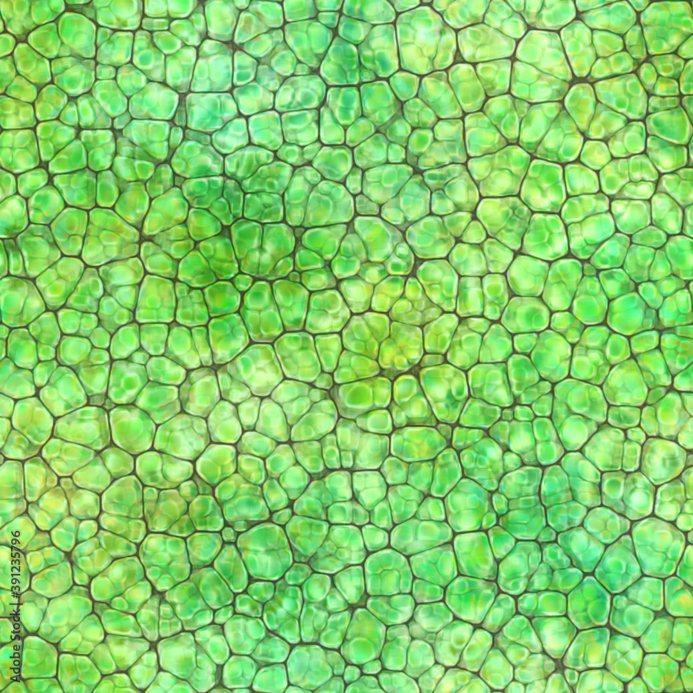 Fototapeta Cartoon seamless texture of color fantasy cobble stone ground pavement
