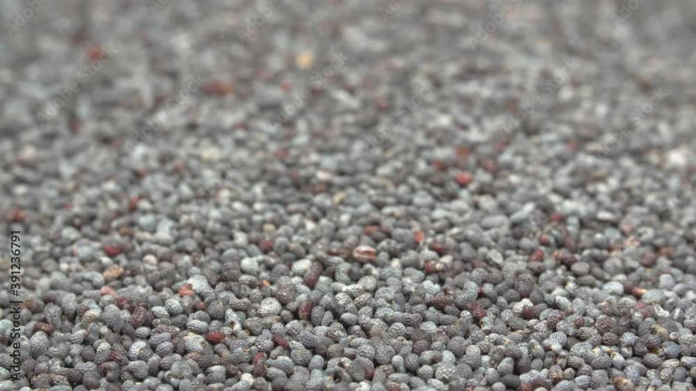 Poppy grains close-up. The background is made of poppy seeds. Extreme macro. Poppy grains close-up. The background is made of poppy seeds. Extreme macro.