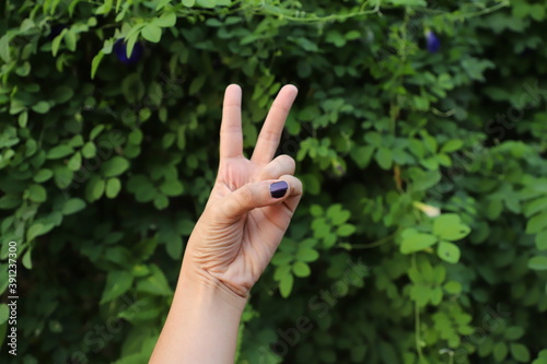 A brown woman's hand wearing violet nail polish showing victory sign in front of green leaves in nature © FCEalin 