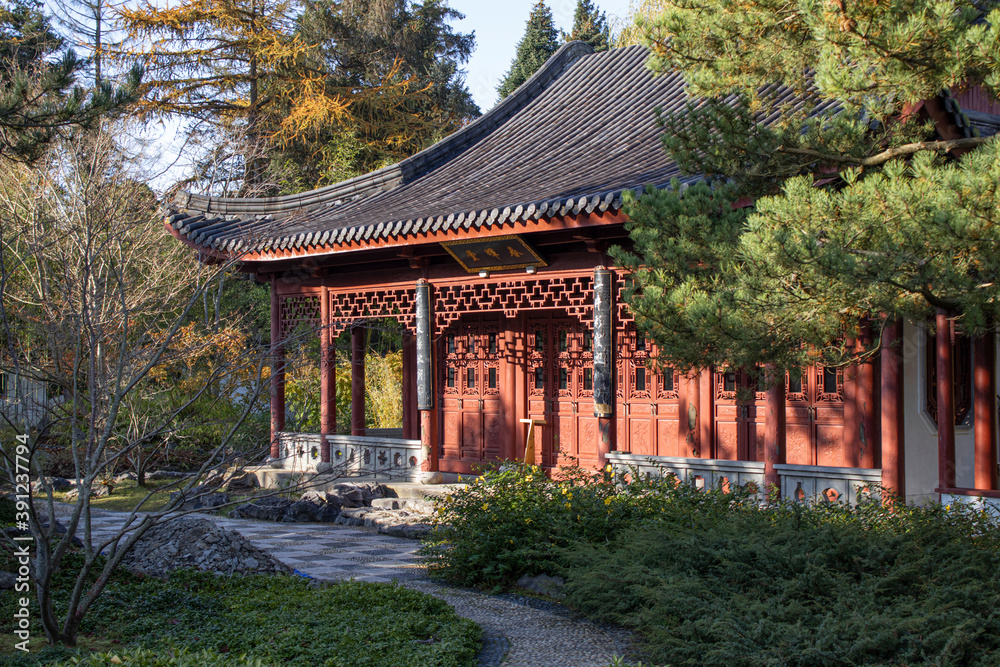 chinese garden in the autumn