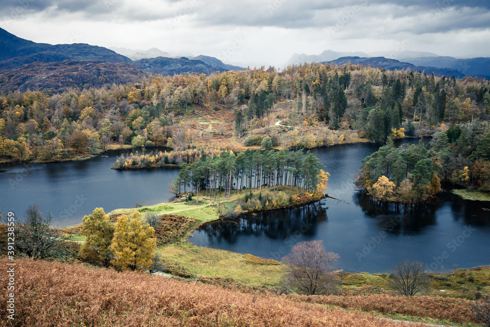 Landscape in Autumn at Tarn Hows, Lake District, Cumbria