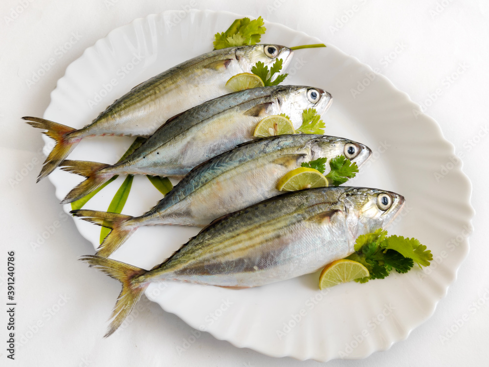 Fresh Indian Mackerel fish decorated with herbs on a white plate Fresh Indian Mackerel fish decorated with herbs on a white plate