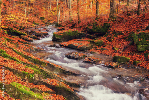 Amazing nature landscape with mountain creek in the colorful autumn forest, natural outdoor travel background suitable for wallpaper, Carpathian mountains