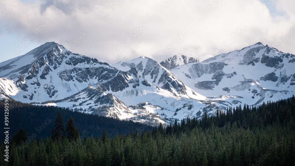 Iconic Canadian alpine landscape - snow-capped mountains and coniferous forest  on an early morning.