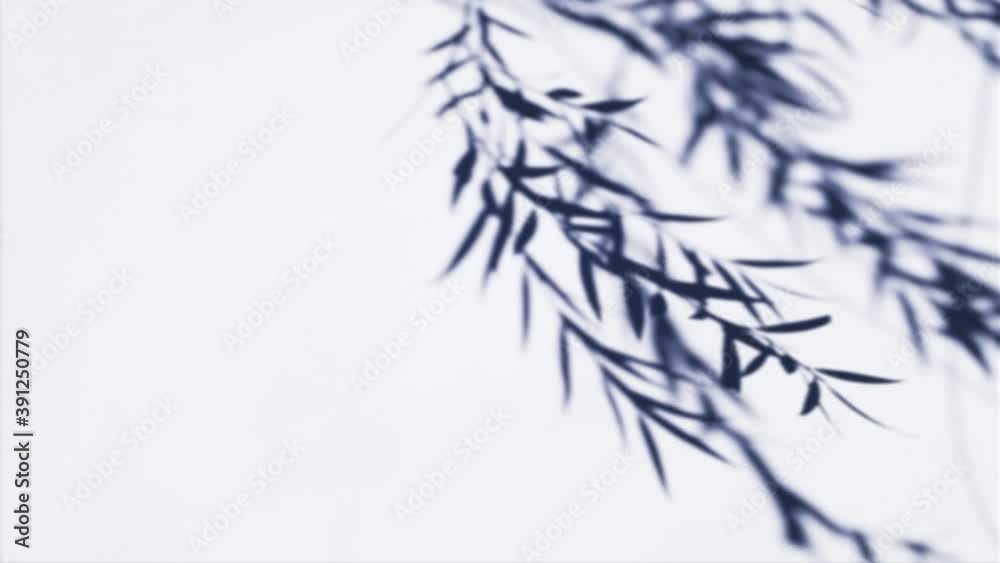 Tree Branch Shadow Overlay Light Minimal Style Design, Wind Blowing Motion With Sunshine Surface Effect Blurred Texture. Use a multiply mode overlay. Tree Branch Shadow Overlay Light Minimal Style Design, Wind Blowing Motion With Sunshine Surface Effect Blurred Texture. Use a multiply mode overlay.