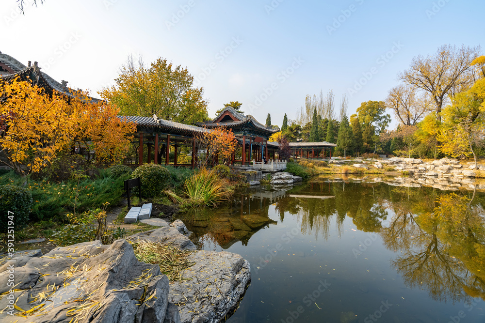 In autumn, ancient building lofts and ginkgo trees are in Jinci Park, Taiyuan, Shanxi, China In autumn, ancient building lofts and ginkgo trees are in Jinci Park, Taiyuan, Shanxi, China
