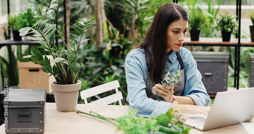 Portrait of young Caucasian beautiful female florist in apron at work sitting at table and typing on laptop while checking flowers. Woman sorting plants and tapping on computer in flower shop