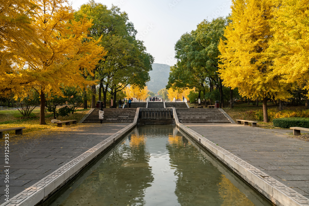 Fototapeta premium In autumn, ancient building lofts and ginkgo trees are in Jinci Park, Taiyuan, Shanxi, China
