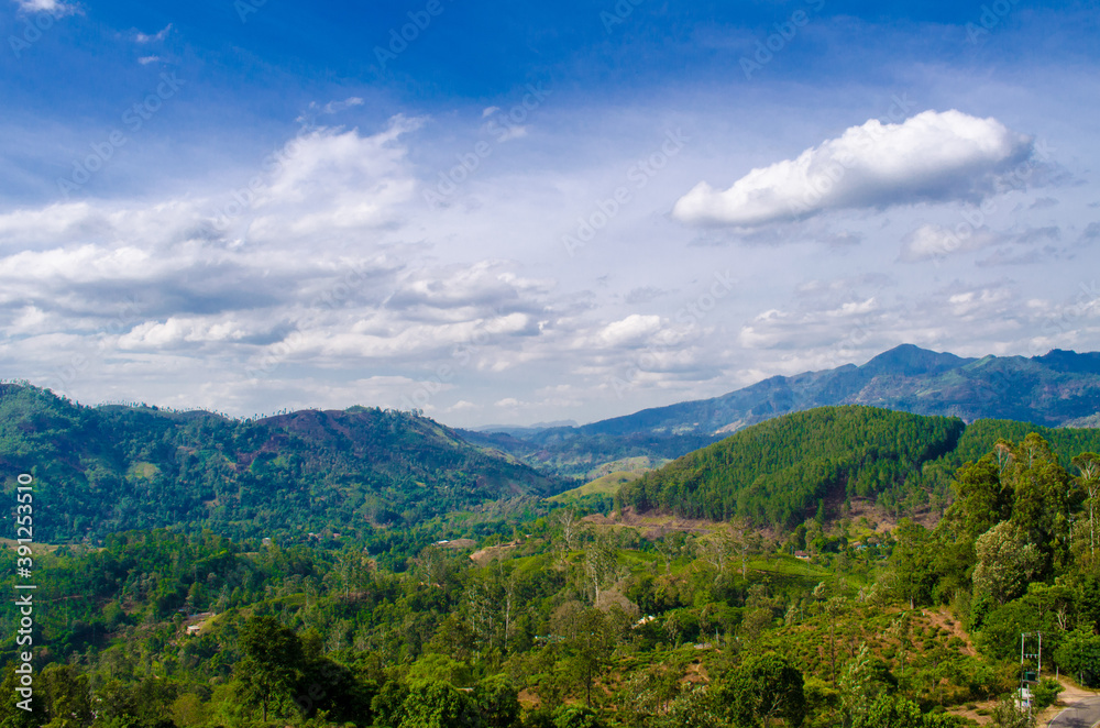 Mountain Range Mountain Range