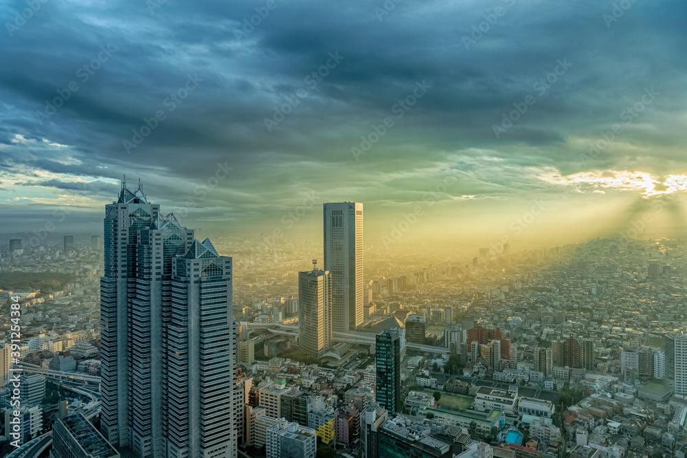 Fototapeta premium 東京都新宿区西新宿にある東京都庁から見た夕方の東京の都市景観