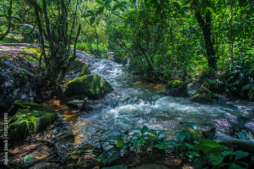 waterfall in the forest