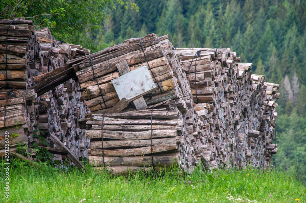 Brennholzstapel im Schwarzwald