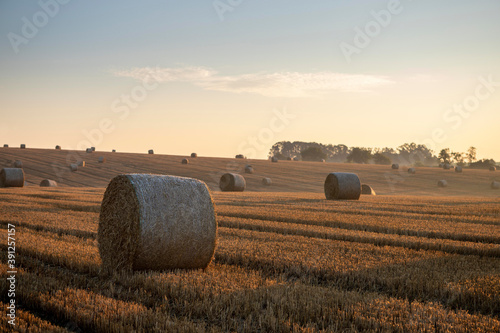 Straw bales in a field after harvest in Silesia, Czech Republic. Very first rays of the sun of the day, almost clear sky. Small Forest in background. Light haze.