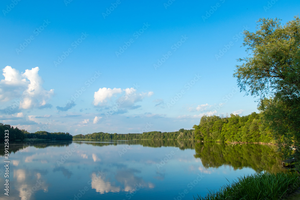 Lake on the background of the forest