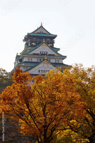 秋の大阪城