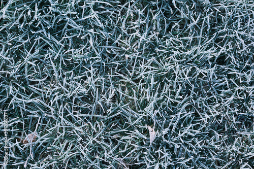 Winter morning ice and frost on the grass top view. Frost background