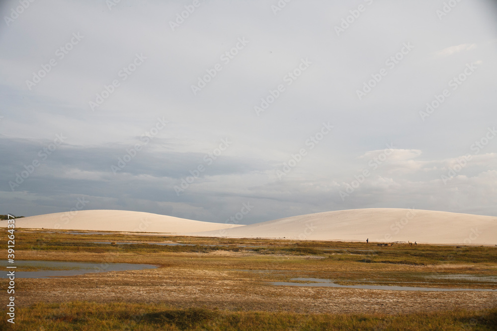 landscape with sand dunes