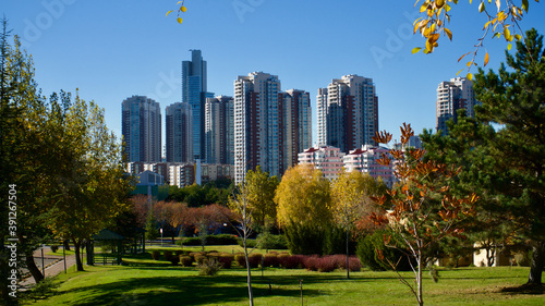 Autumn landscape in front of tall buildings.