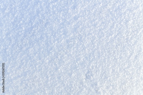 The background is snow layered, view from above.