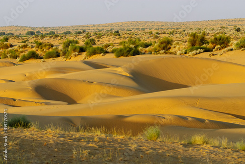 Thar desert near Jaisalmer, India photo