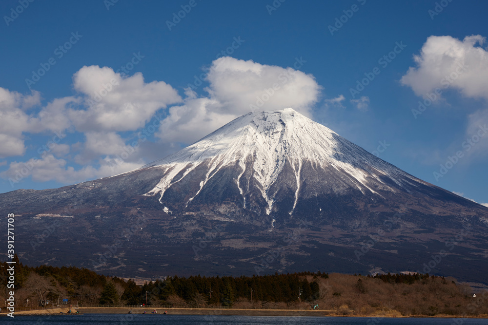 Fototapeta premium 田貫湖からの富士山