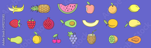 Vector illustration. Large collection of fruit in Doodle style. Exotic fruits and berries.
