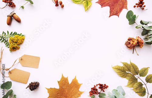 Autumn vintage composition. Frame made of autumn dried leaves, acorn, pine cone, dry berries on a pastel background. Toned image. Flat lay, top view, copy space.