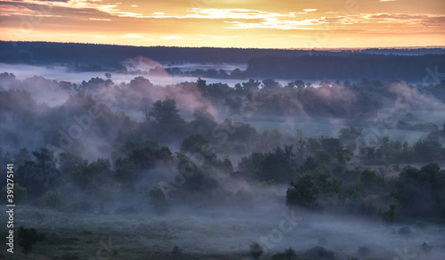 Aerial view Sunrise of meadow with forest in sunlight and mist