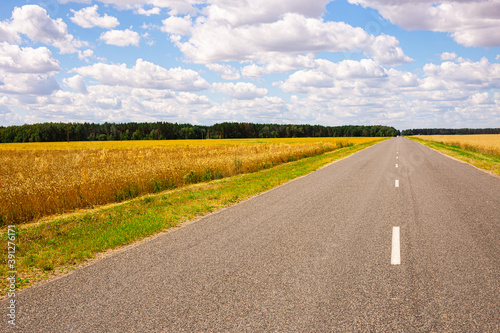 road going into perspective, yellow fields and blue sky with cumulus clouds