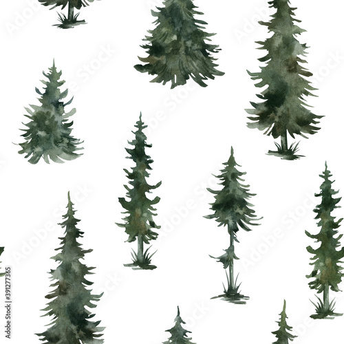 Watercolor seamless pattern with winter trees. Spruce, pine, fir, Christmas tree. Nature background. Forest landscape. © Kate K.