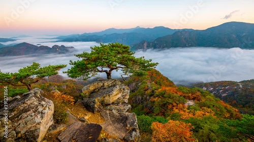 Autumn seoraksan mountains is covered by morning fog and sunrise in Seoul Korea.
