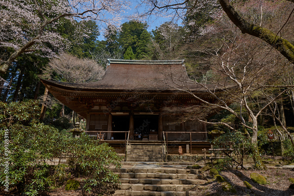 室生寺,本堂 室生寺,本堂