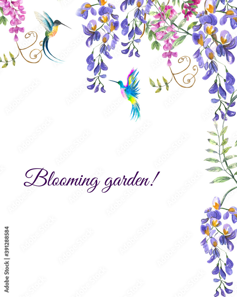 Watercolor illustration. Floral frame. A template made of wisteria flowers and hummingbirds. Spring frame for text or photo