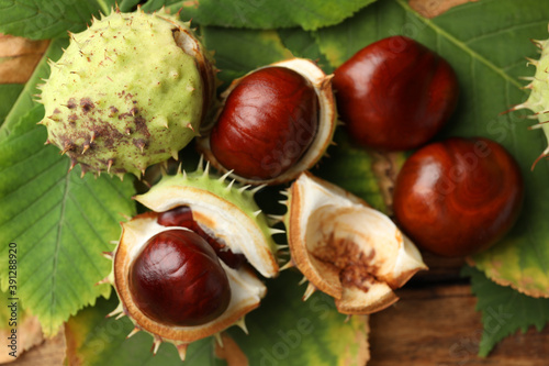 Horse chestnuts and leaves on wooden table, flat lay