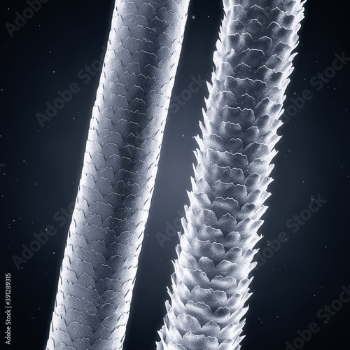 Low and High porosity hair strands, Hair damage concept