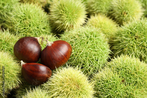 Many fresh sweet edible chestnuts as background, closeup