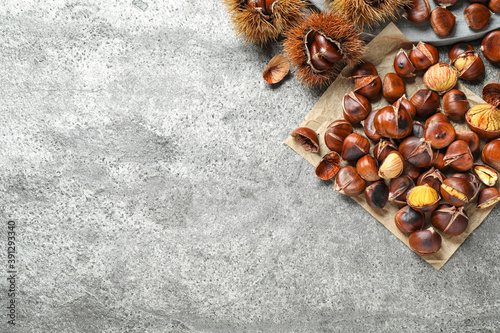Delicious roasted edible chestnuts on grey table, flat lay. Space for text
