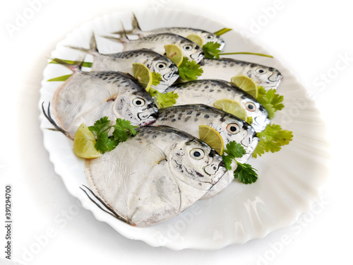 Fresh Razor moonfish/Razor Trevally Fish, Decorated with herbs and lemon slice on a white plate. photo