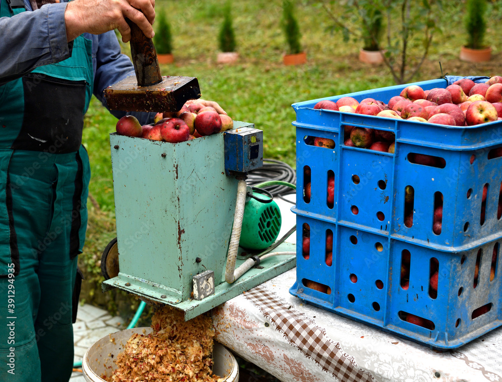 The fruit farmer crushing apples on a crush machine making crushed apple