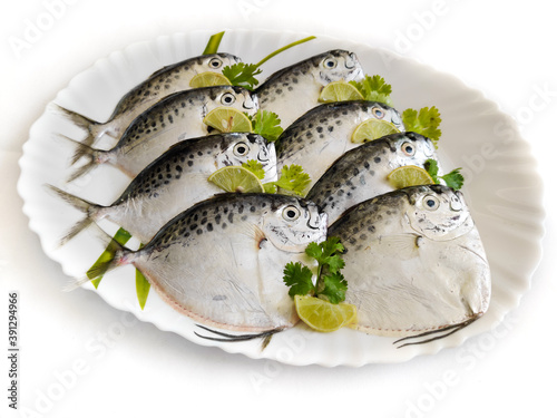 Fresh Razor moonfish/Razor Trevally Fish, Decorated with herbs and lemon slice on a white plate. photo
