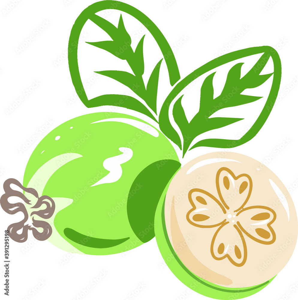 Feijoa fruit, half and whole with leaves. Flat style. Green shade. Vector graphics Feijoa fruit, half and whole with leaves. Flat style. Green shade. Vector graphics
