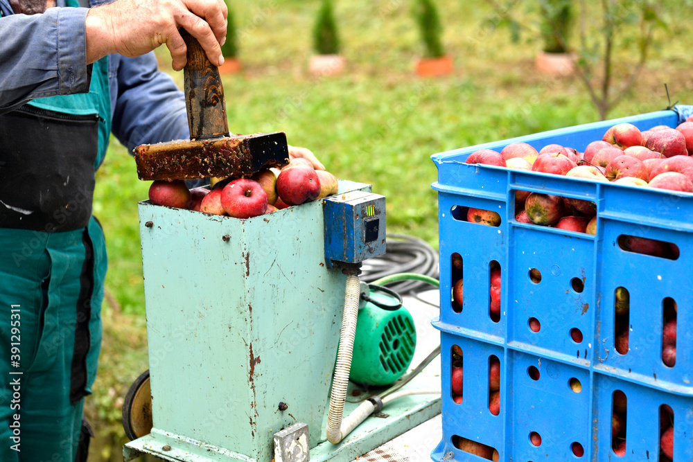 The fruit farmer crushing apples on a crush machine making crushed apple