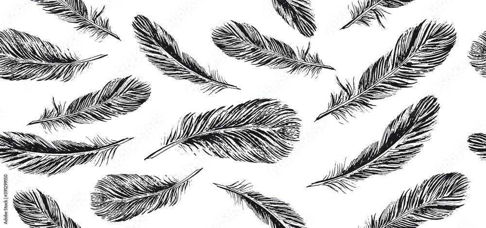 Feathers set on white background. Hand drawn sketch style. Feathers set on white background. Hand drawn sketch style.