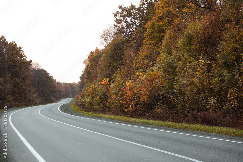 Beautiful view of empty asphalt highway and autumn trees