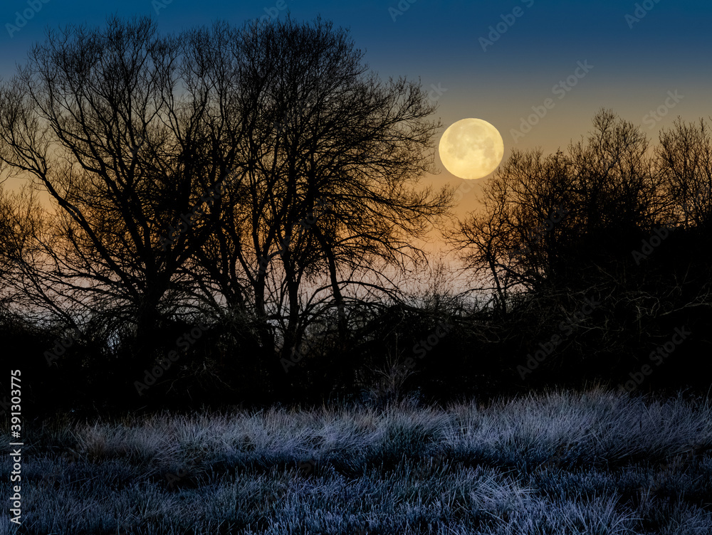 Paisaje nocturno con luna llena al atardecer y ramas peladas de árboles en silueta en invierno.