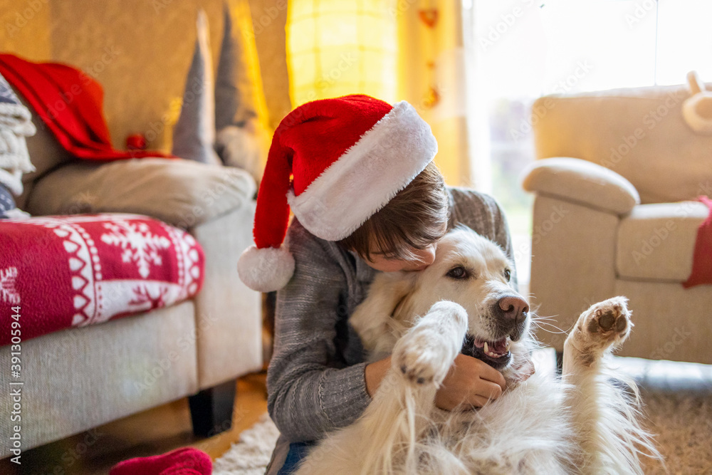 Boy and his dog enjoying Christmas together at home
Boy and his dog enjoying Christmas together at home
