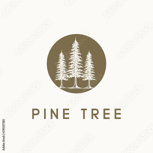 pine tree logo design