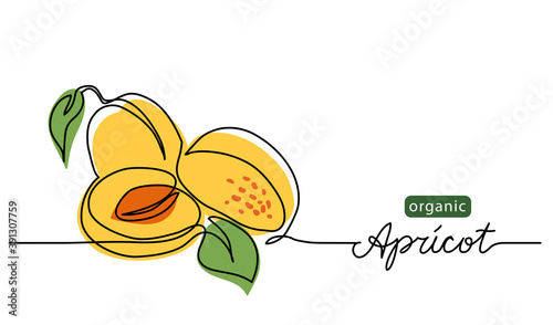 Apricot vector illustration. One line drawing art illustration with lettering organic apricot.