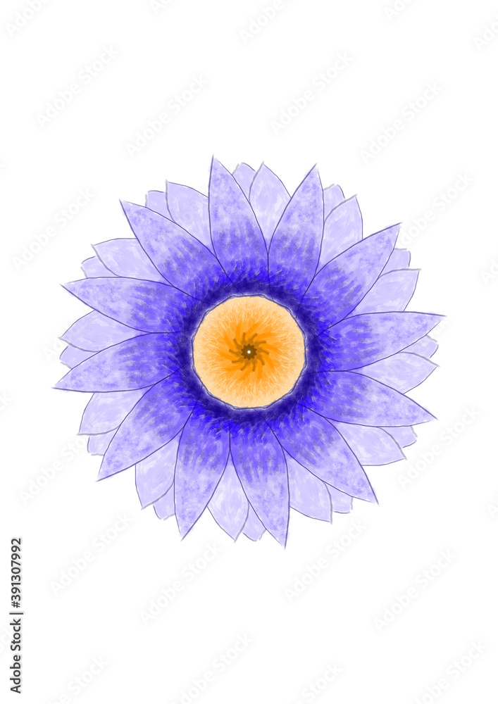 fleur violette au coeur jaune jaune fleur violette au coeur jaune jaune